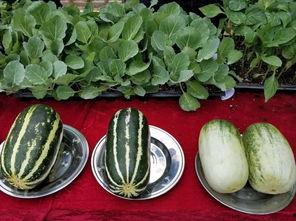 娱乐吃瓜壁纸高清图片,一图览尽娱乐圈风云变幻